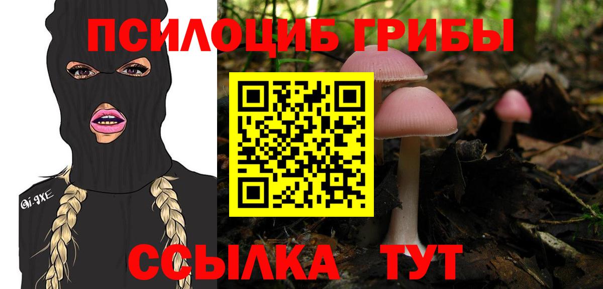 Псилоцибиновые грибы прущие грибы  Псилоцибиновые грибы ЛСД  наркота  Альметьевск 