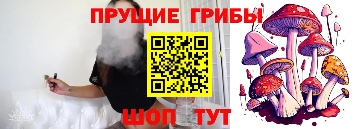 Галлюциногенные грибы мицелий Альметьевск